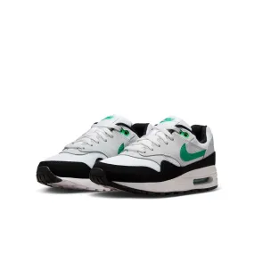 Air Max 1 White DZ3307-108