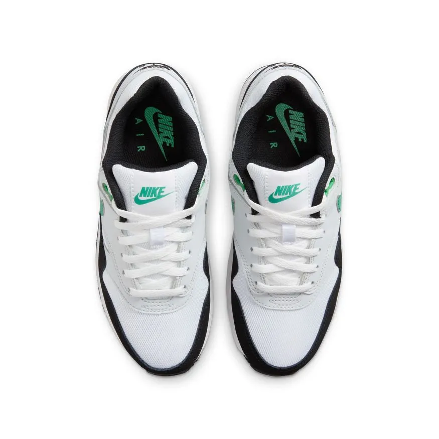 Air Max 1 White DZ3307-108