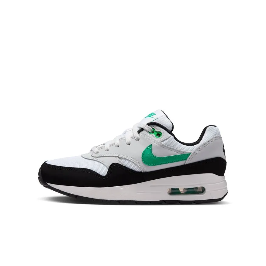 Air Max 1 White DZ3307-108