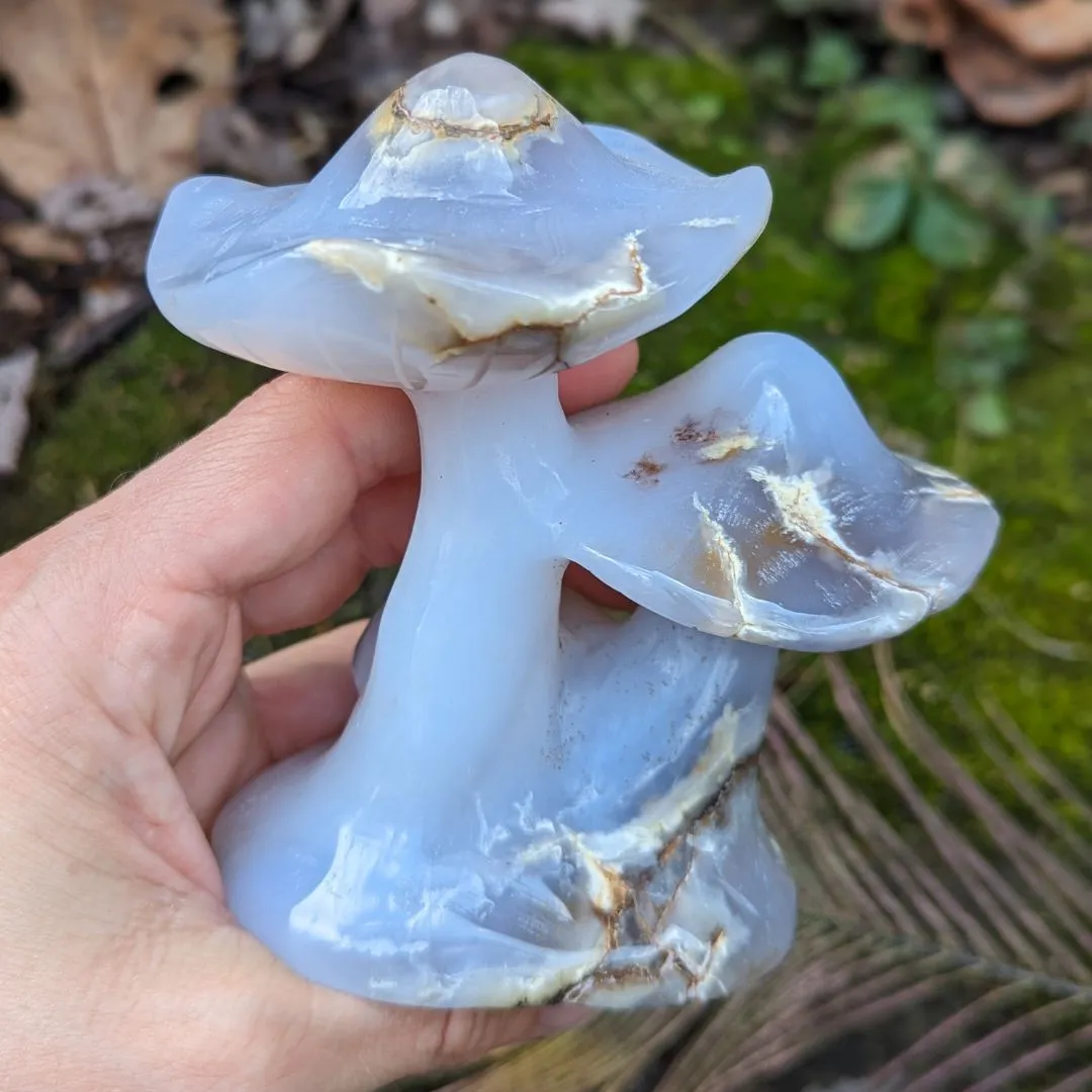 Blue Chalcedony Mushroom Carving - Spring Mushrooms - Mushroom Crystal Carving