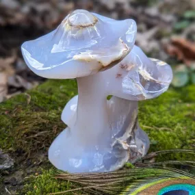 Blue Chalcedony Mushroom Carving - Spring Mushrooms - Mushroom Crystal Carving