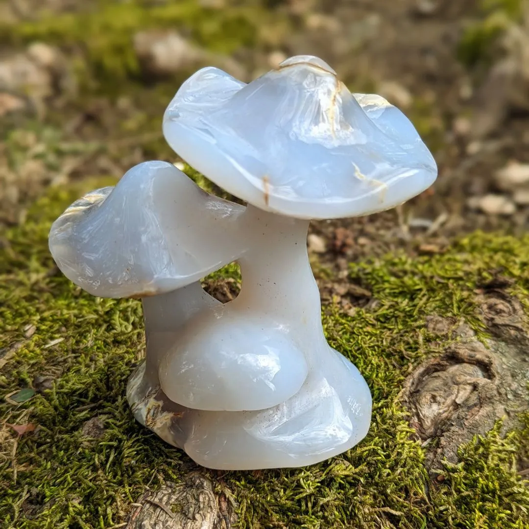 Blue Chalcedony Mushroom Carving - Spring Mushrooms - Mushroom Crystal Carving