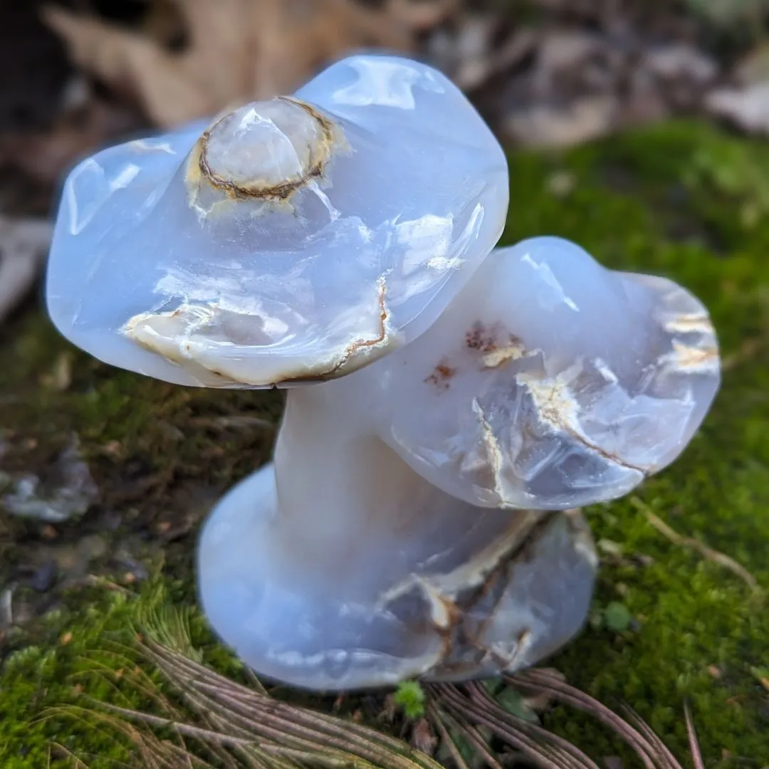 Blue Chalcedony Mushroom Carving - Spring Mushrooms - Mushroom Crystal Carving