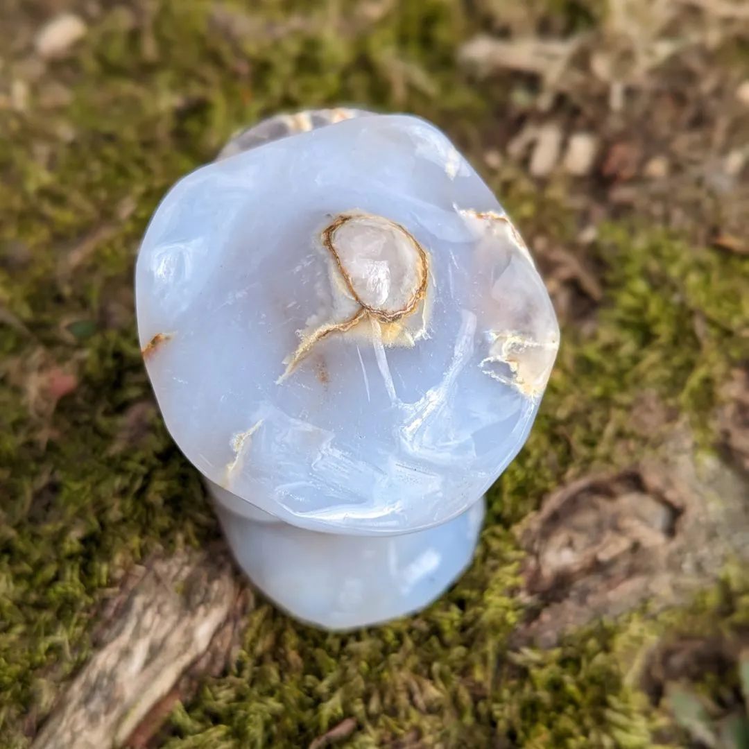 Blue Chalcedony Mushroom Carving - Spring Mushrooms - Mushroom Crystal Carving