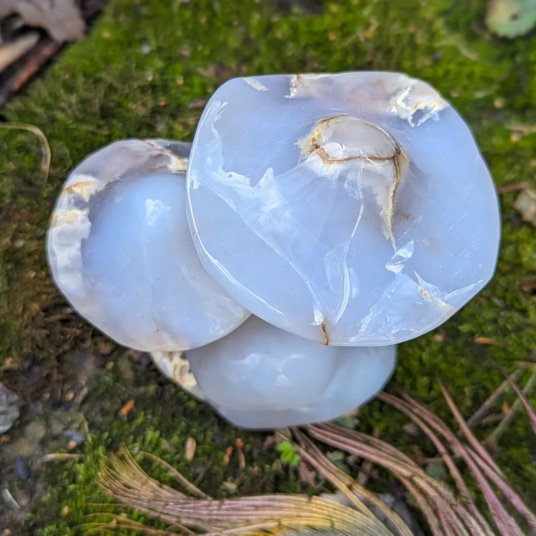 Blue Chalcedony Mushroom Carving - Spring Mushrooms - Mushroom Crystal Carving