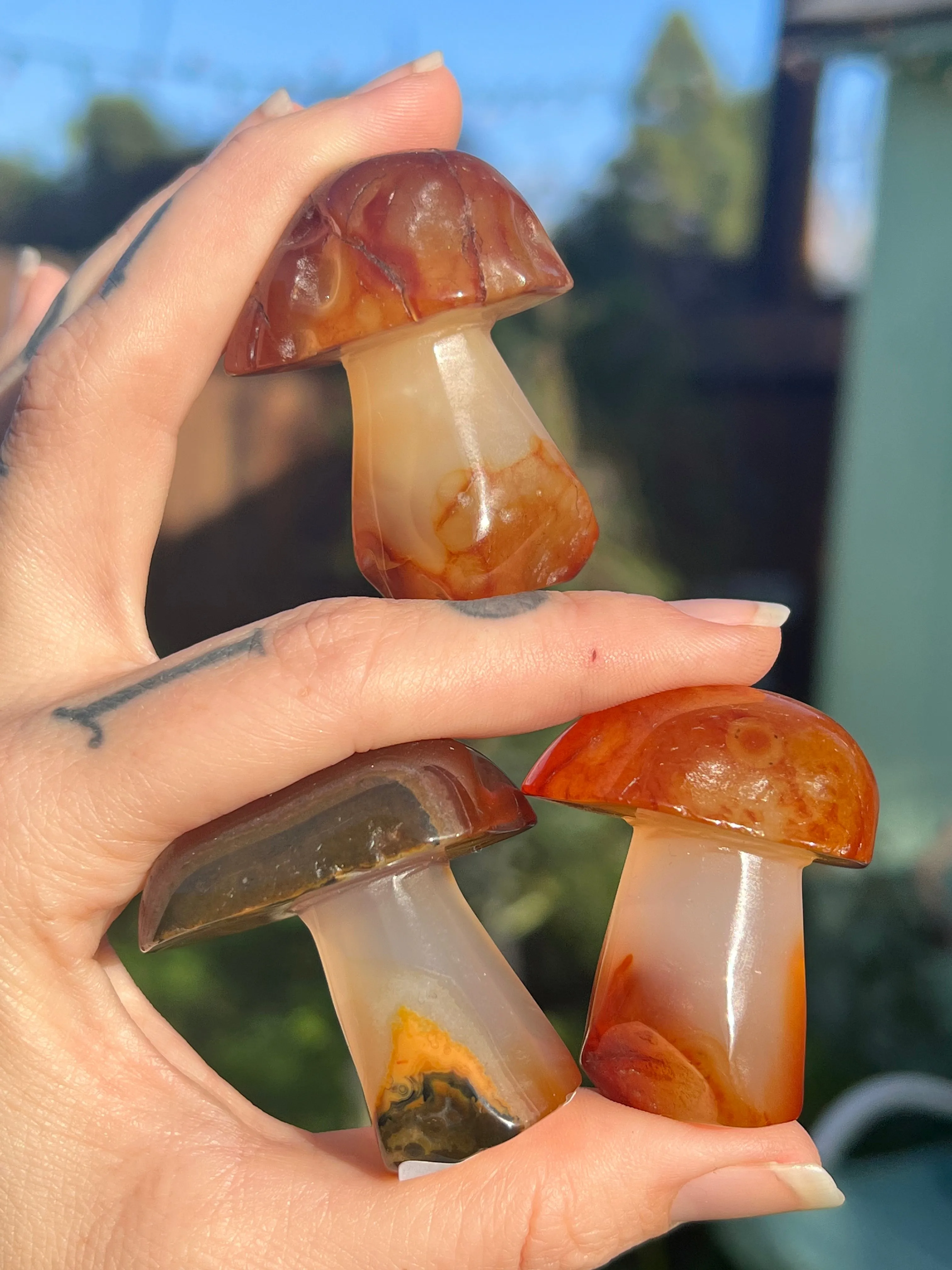 Carnelian mushroom carving: Stunning handcrafted carnelian mushroom sculptures with intricate details. Shop now for unique carne