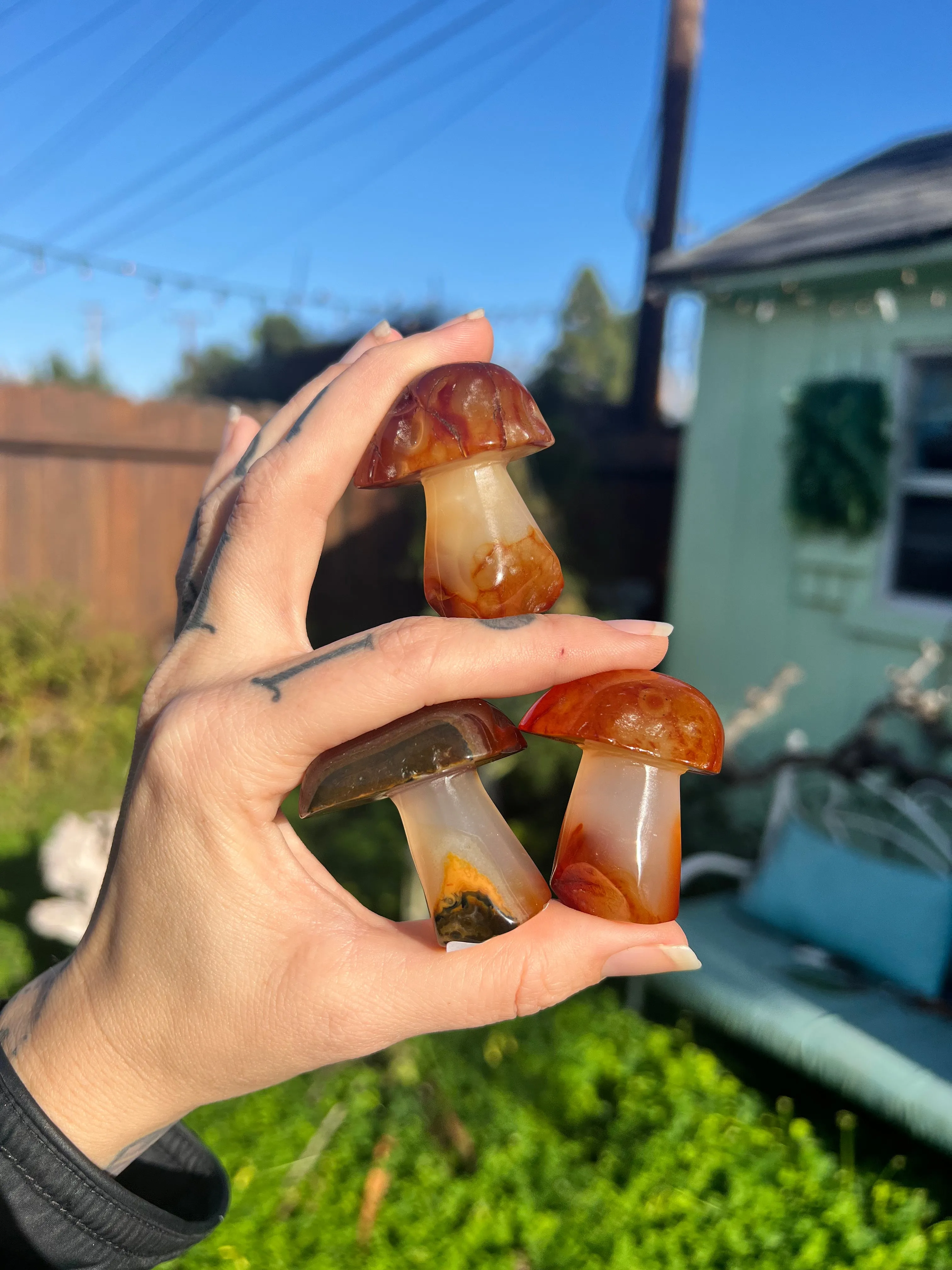 Carnelian mushroom carving: Stunning handcrafted carnelian mushroom sculptures with intricate details. Shop now for unique carne