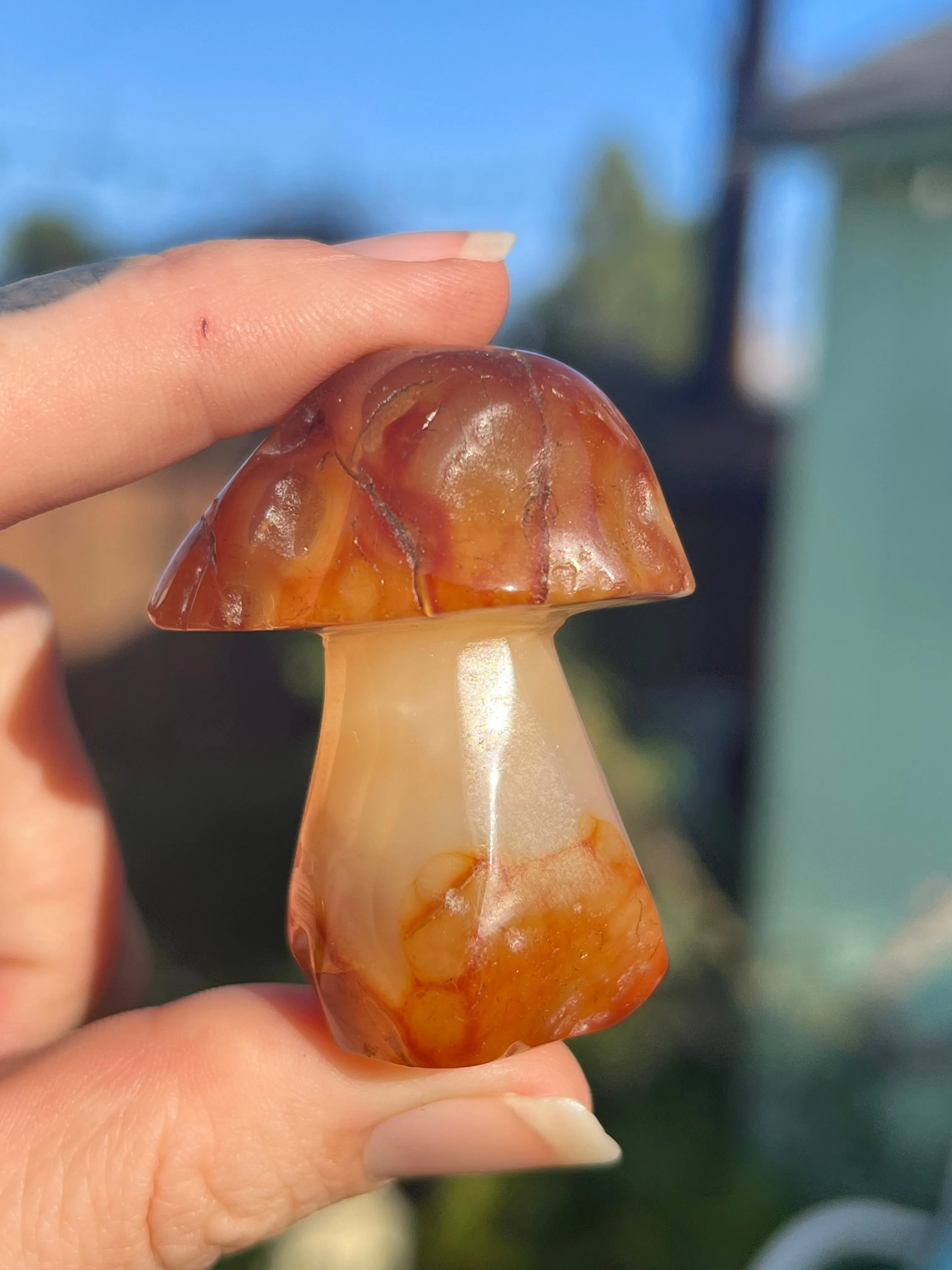 Carnelian mushroom carving: Stunning handcrafted carnelian mushroom sculptures with intricate details. Shop now for unique carne