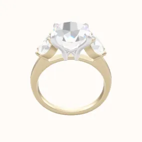 Cathedral Band with Round Sidestones Engagement Ring With X Gallery Head