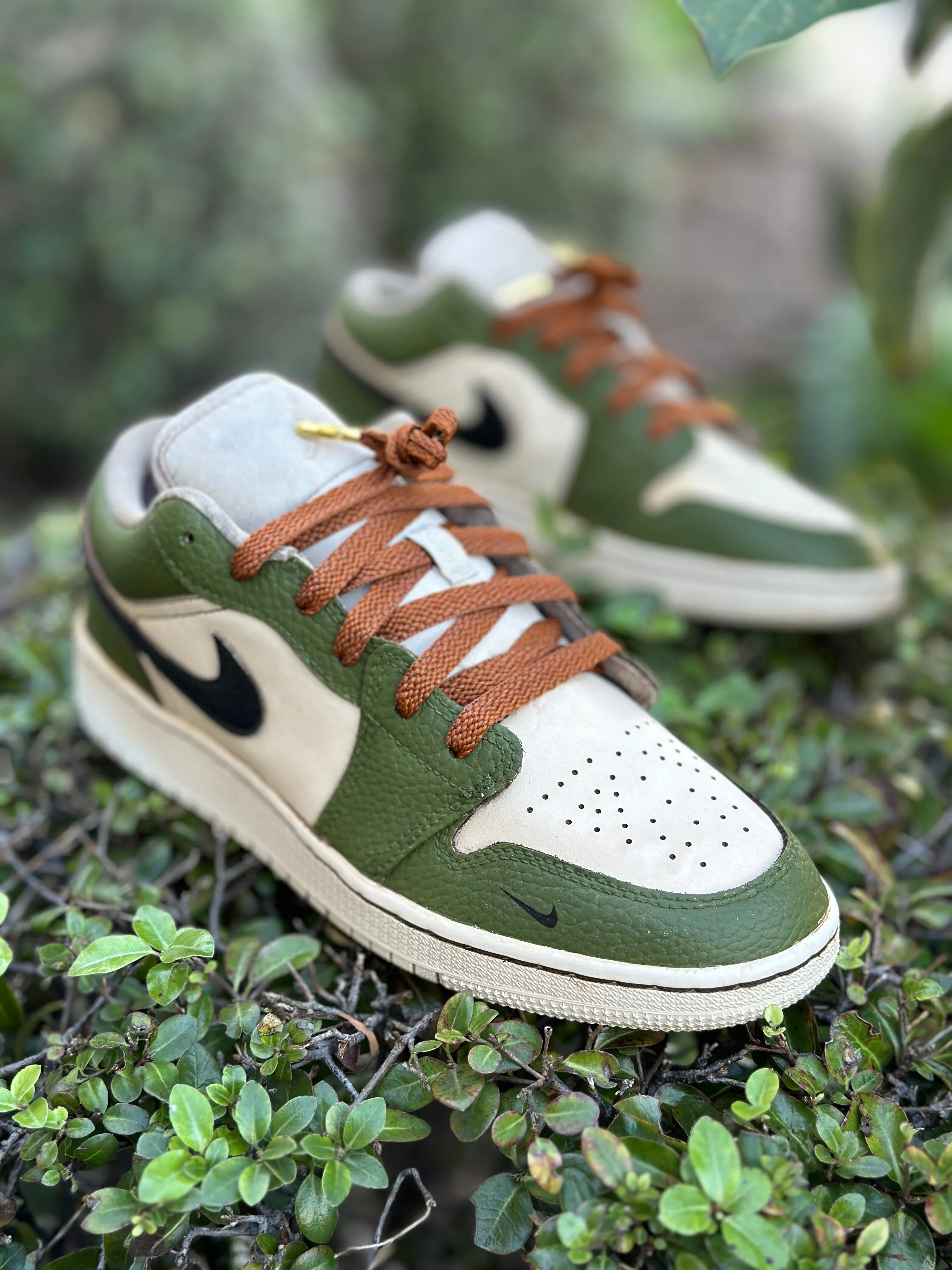 Coffee Stained and Custom Painted Jordan 1 Low Shoes