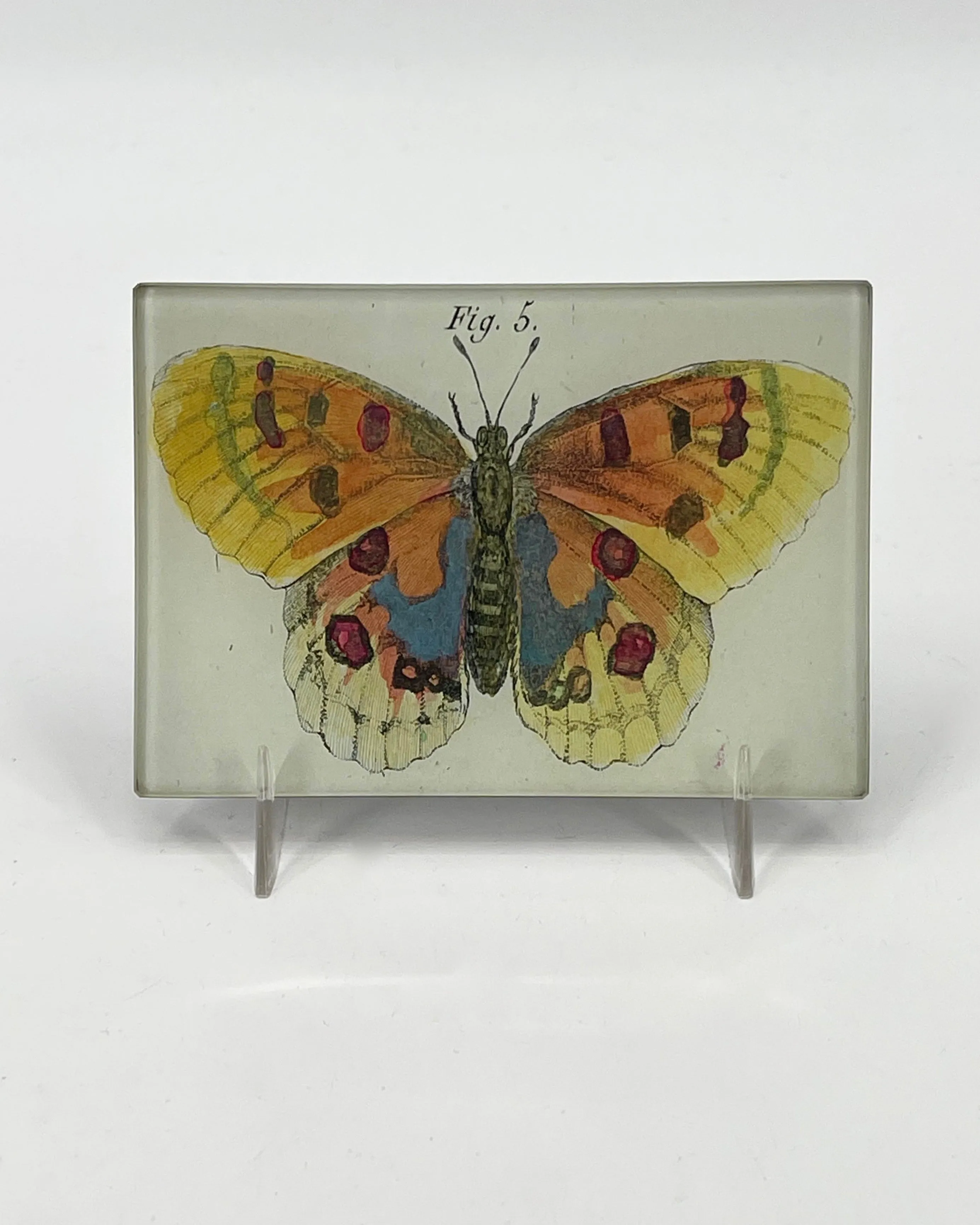 John Derian 3.5 x 5 Tiny Rectangular Trays