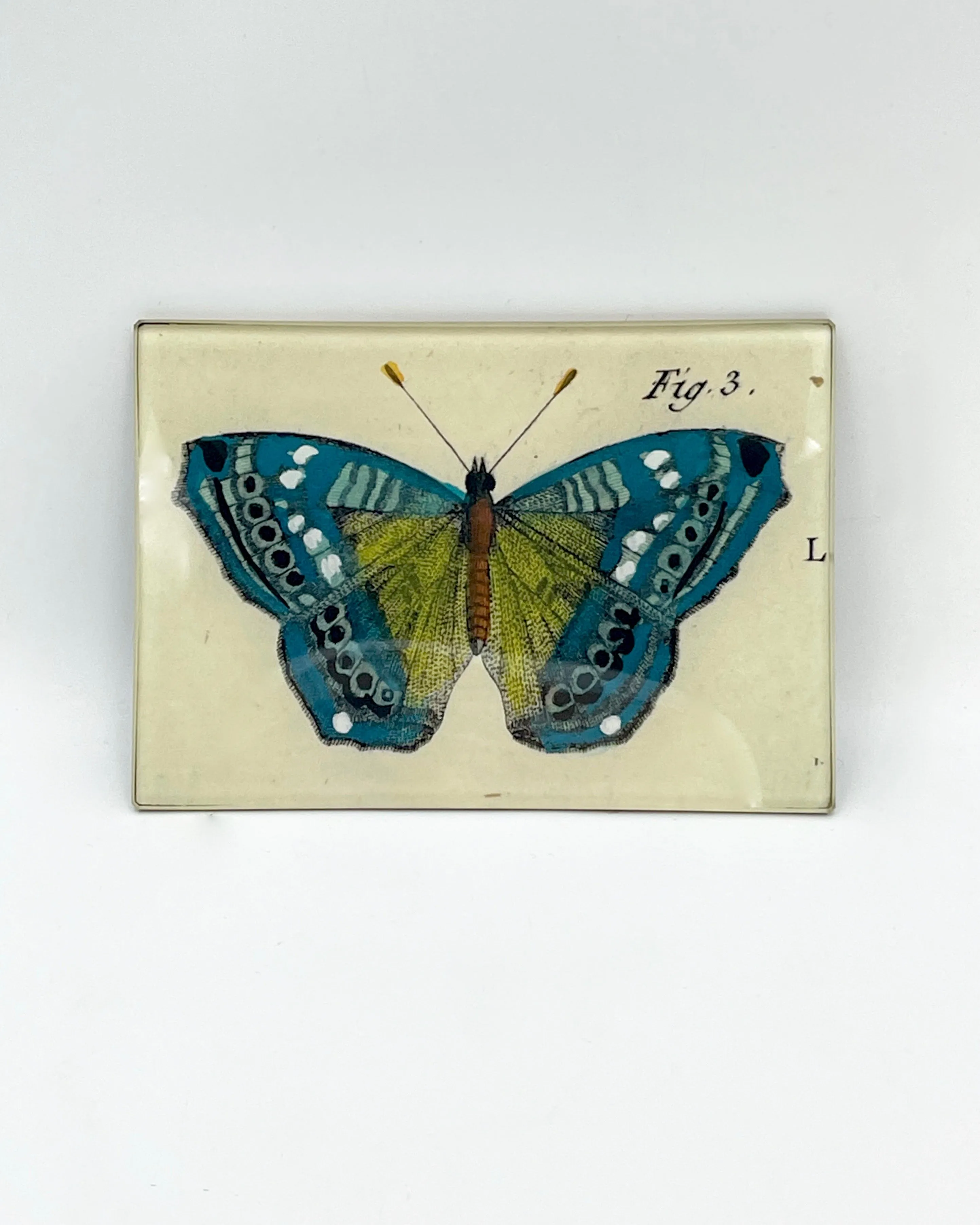 John Derian 3.5 x 5 Tiny Rectangular Trays