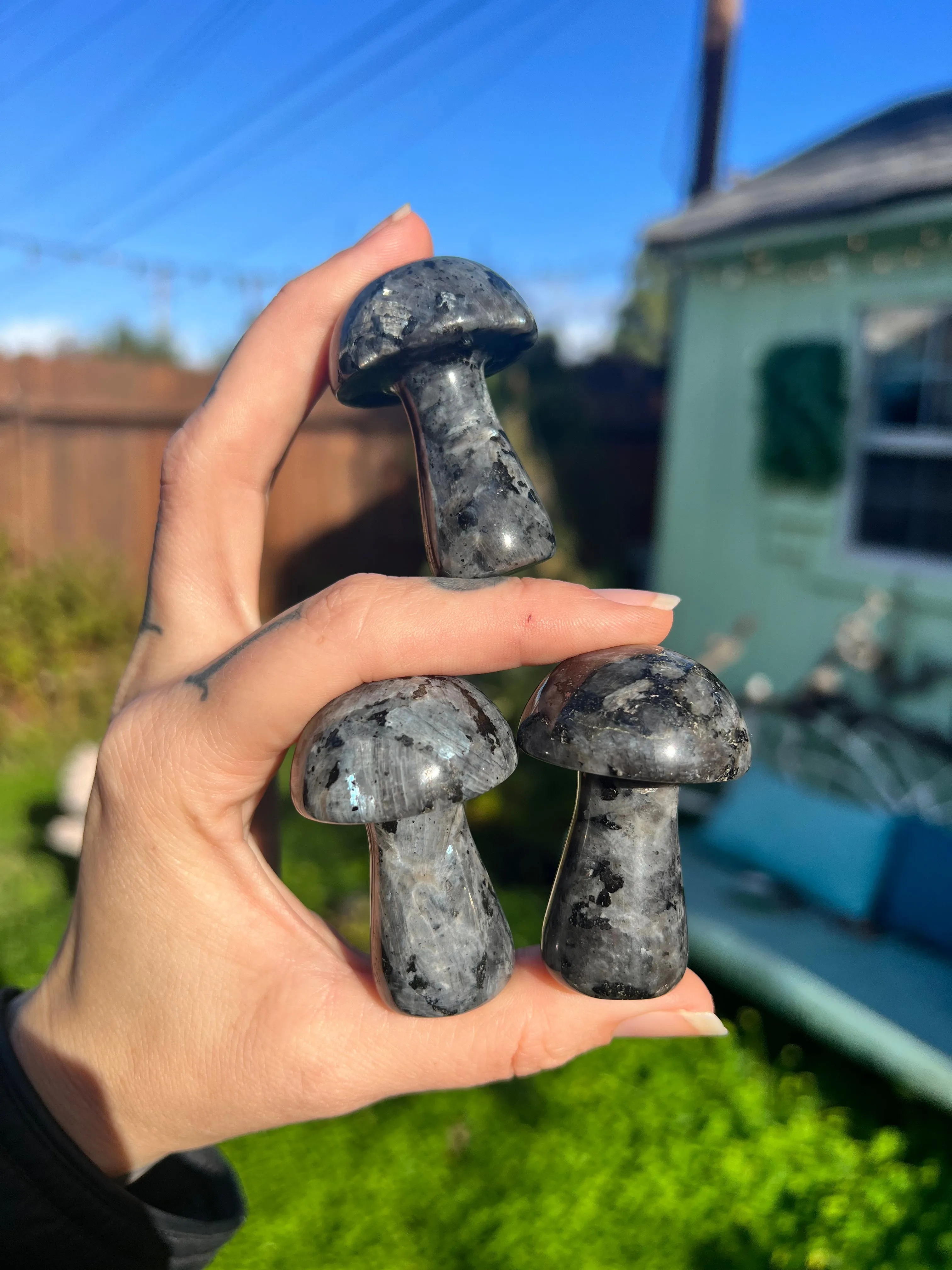 Larvikite stone mushroom sculpture for sale