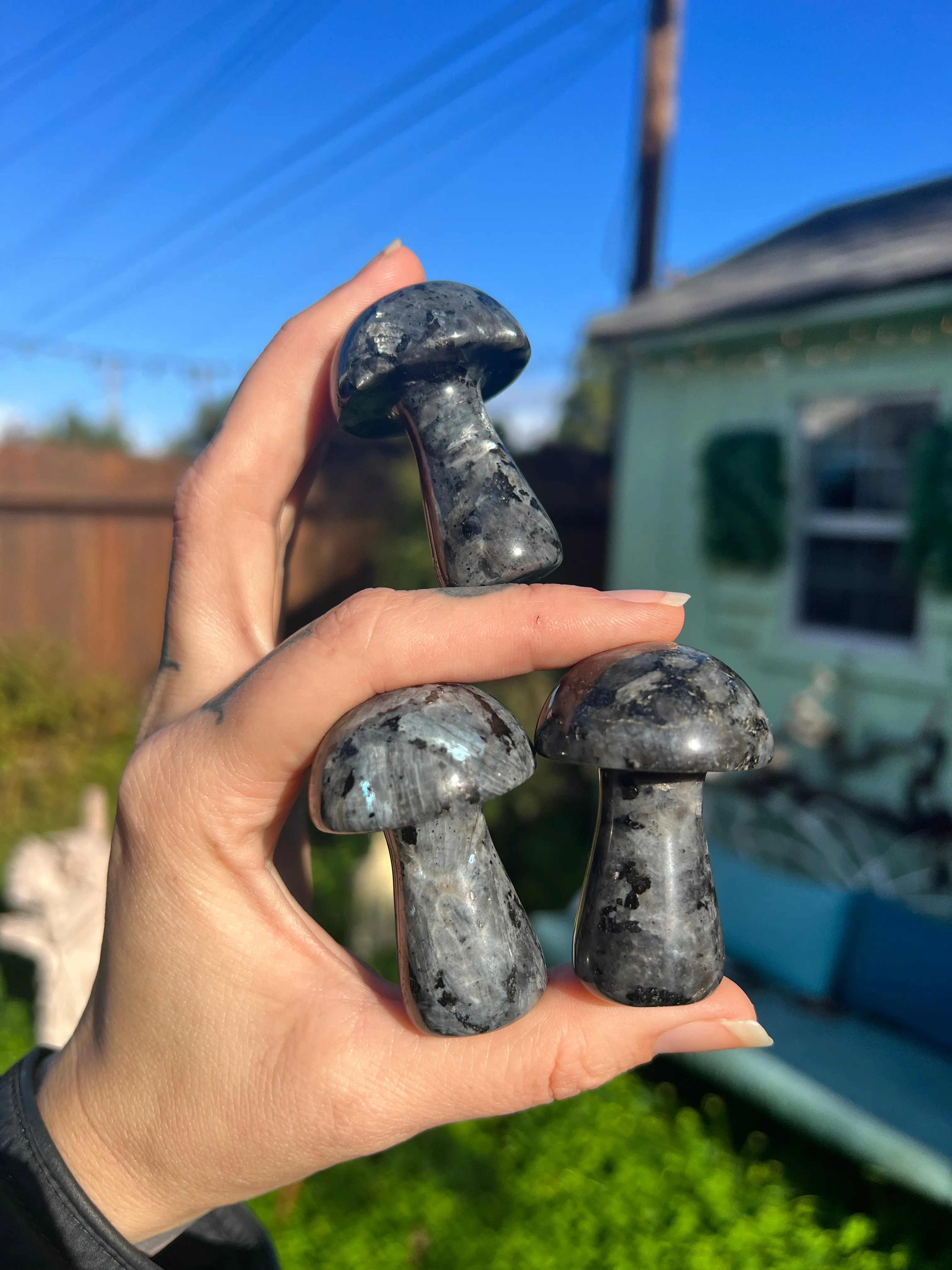 Larvikite stone mushroom sculpture for sale