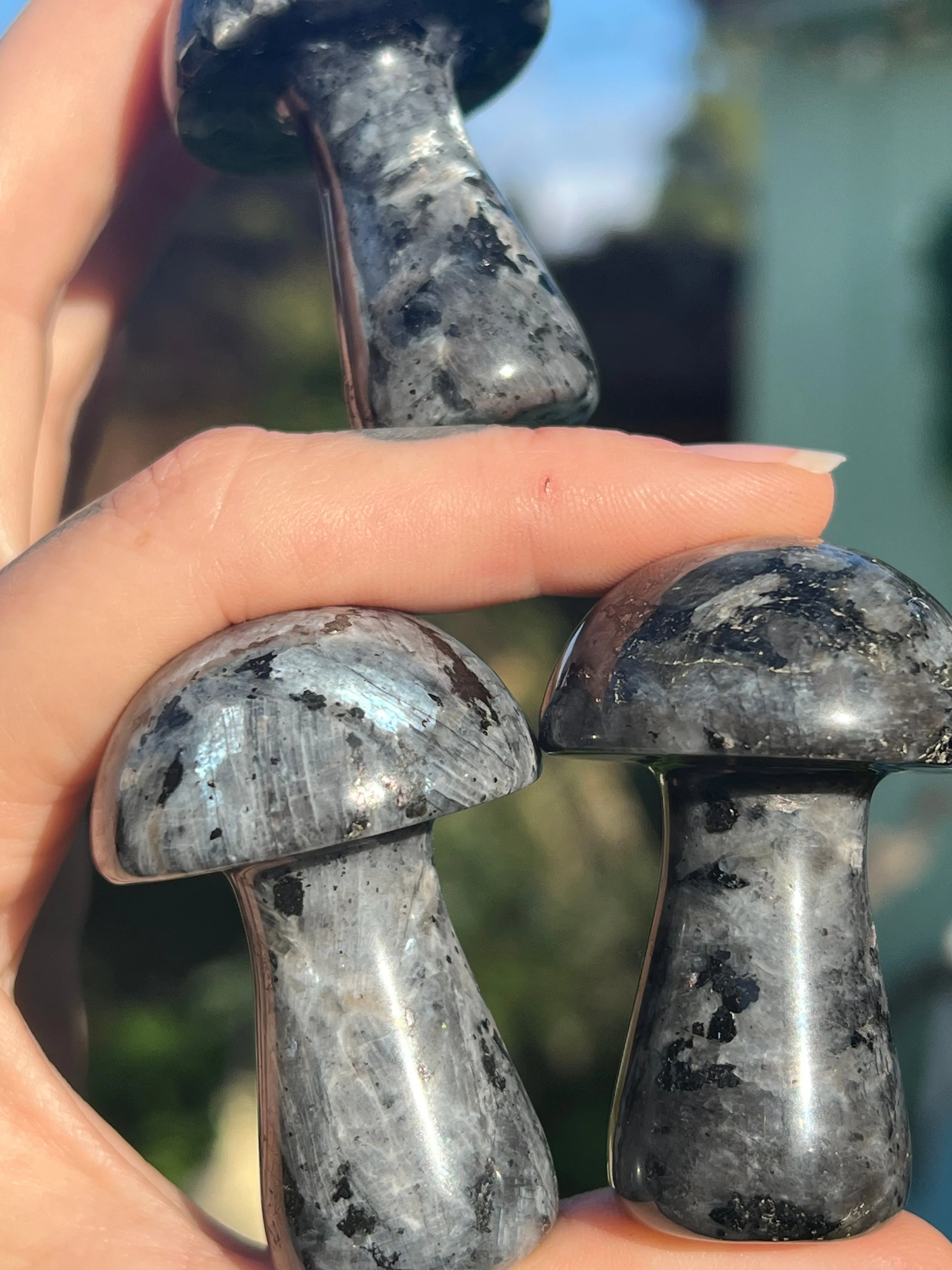 Larvikite stone mushroom sculpture for sale