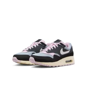 Nike Air Max 1 DZ3307-004