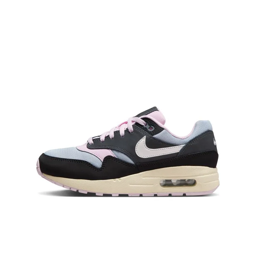 Nike Air Max 1 DZ3307-004