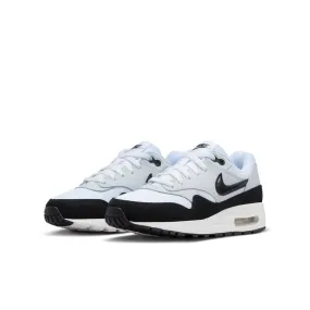 Nike Air Max 1 shoes DZ3307-106