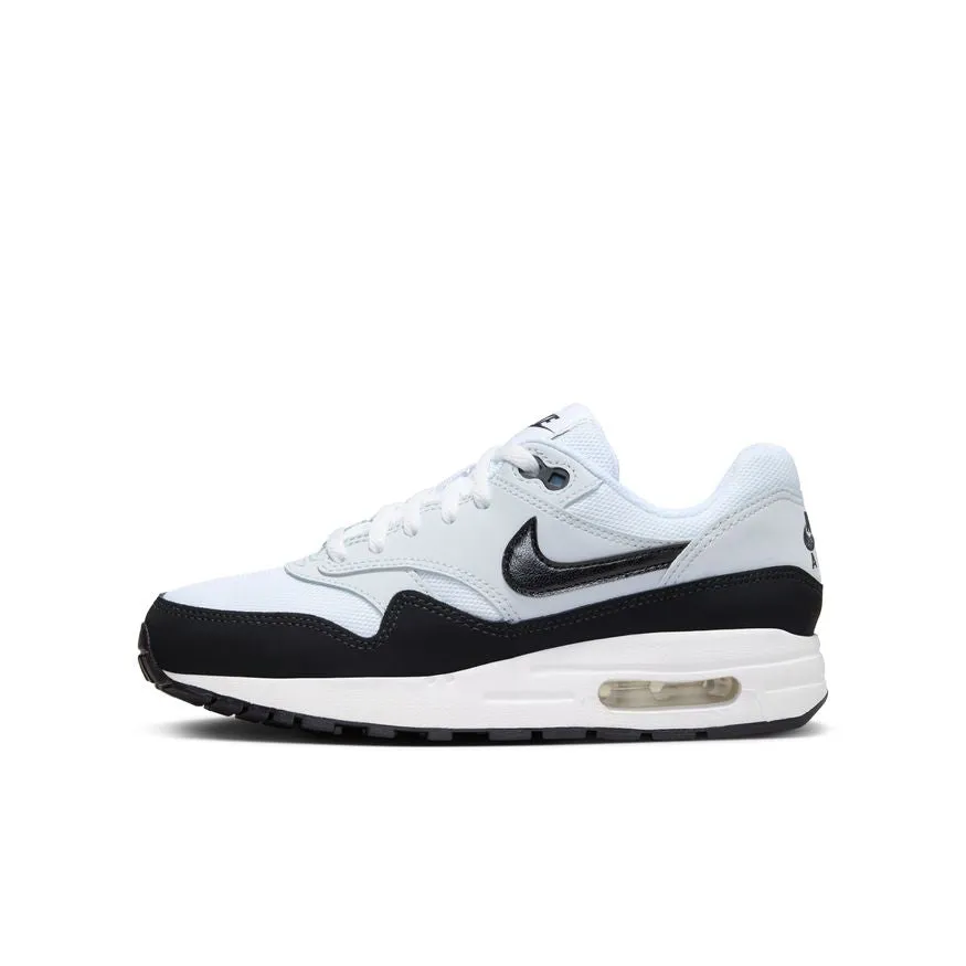 Nike Air Max 1 shoes DZ3307-106