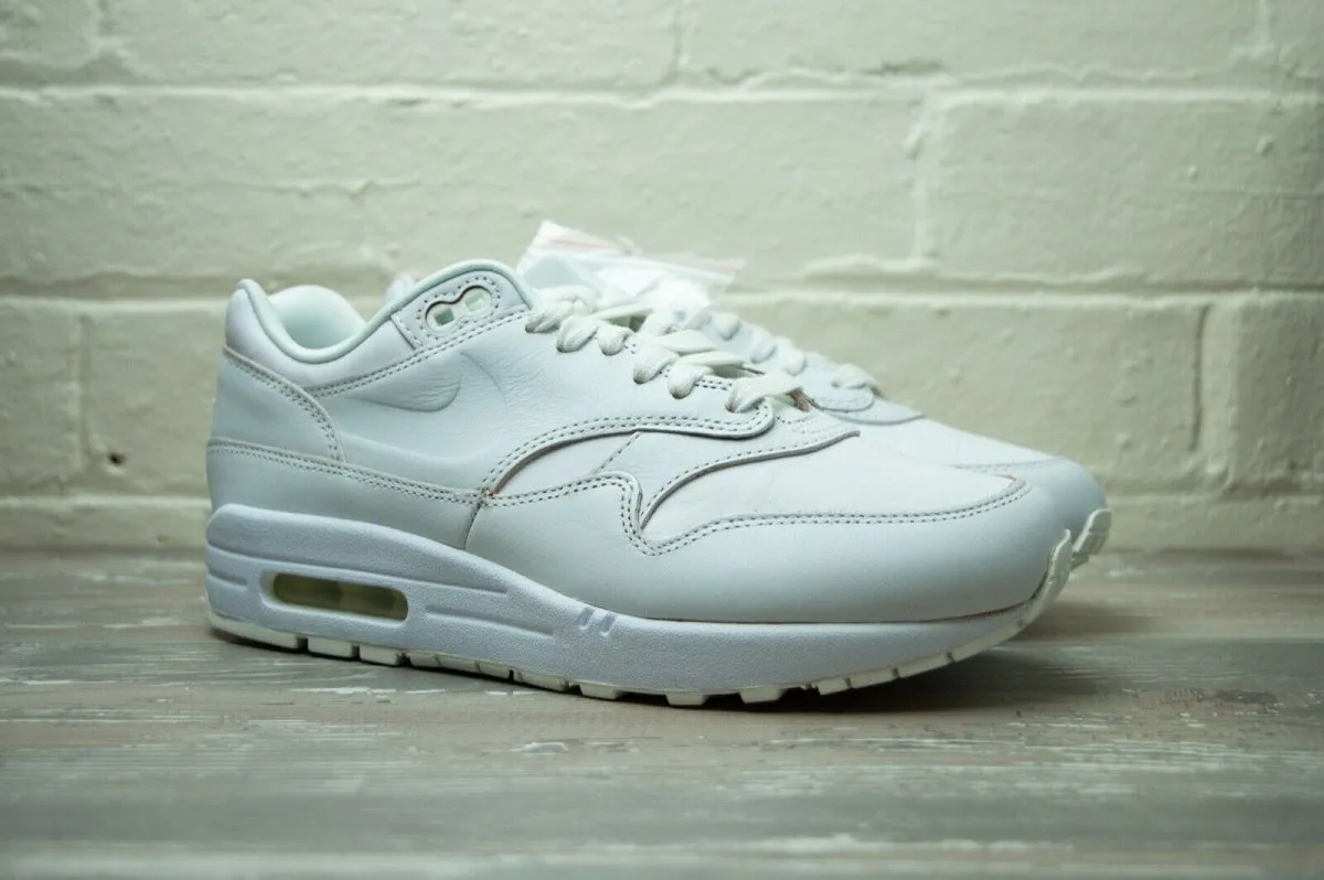 Nike Air Max 1 Summit White DC9204 100