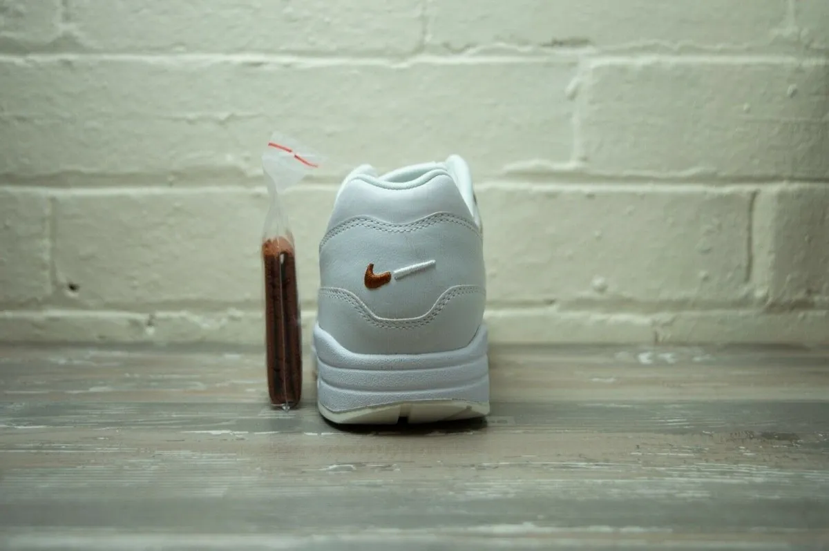 Nike Air Max 1 Summit White DC9204 100