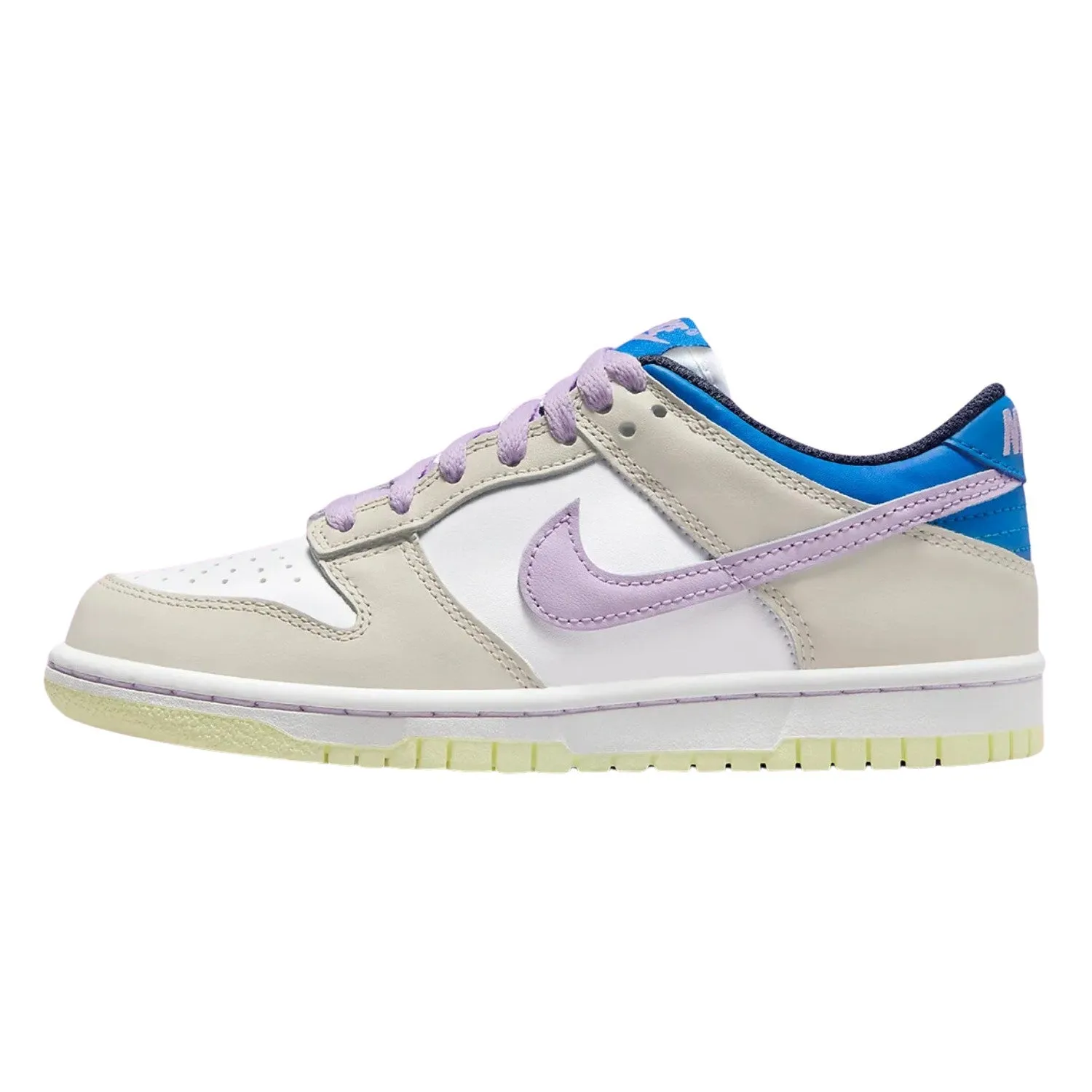 Nike Dunk Low (Gs) Big Kids Style, Fb9109