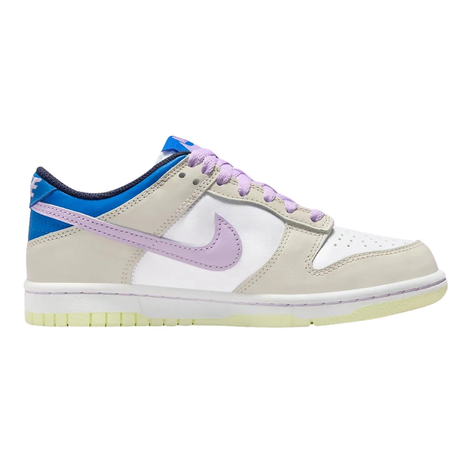 Nike Dunk Low (Gs) Big Kids Style, Fb9109