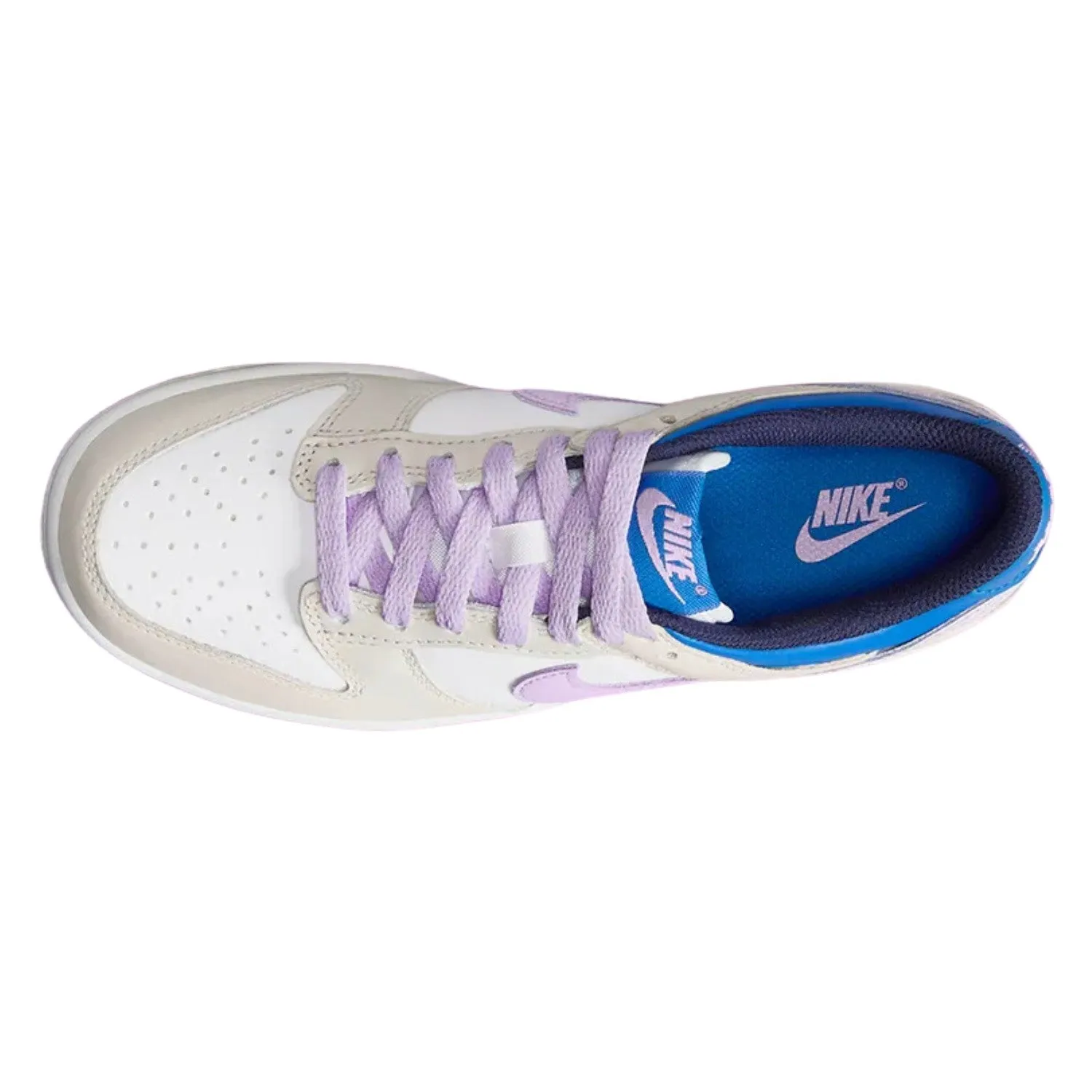 Nike Dunk Low (Gs) Big Kids Style, Fb9109