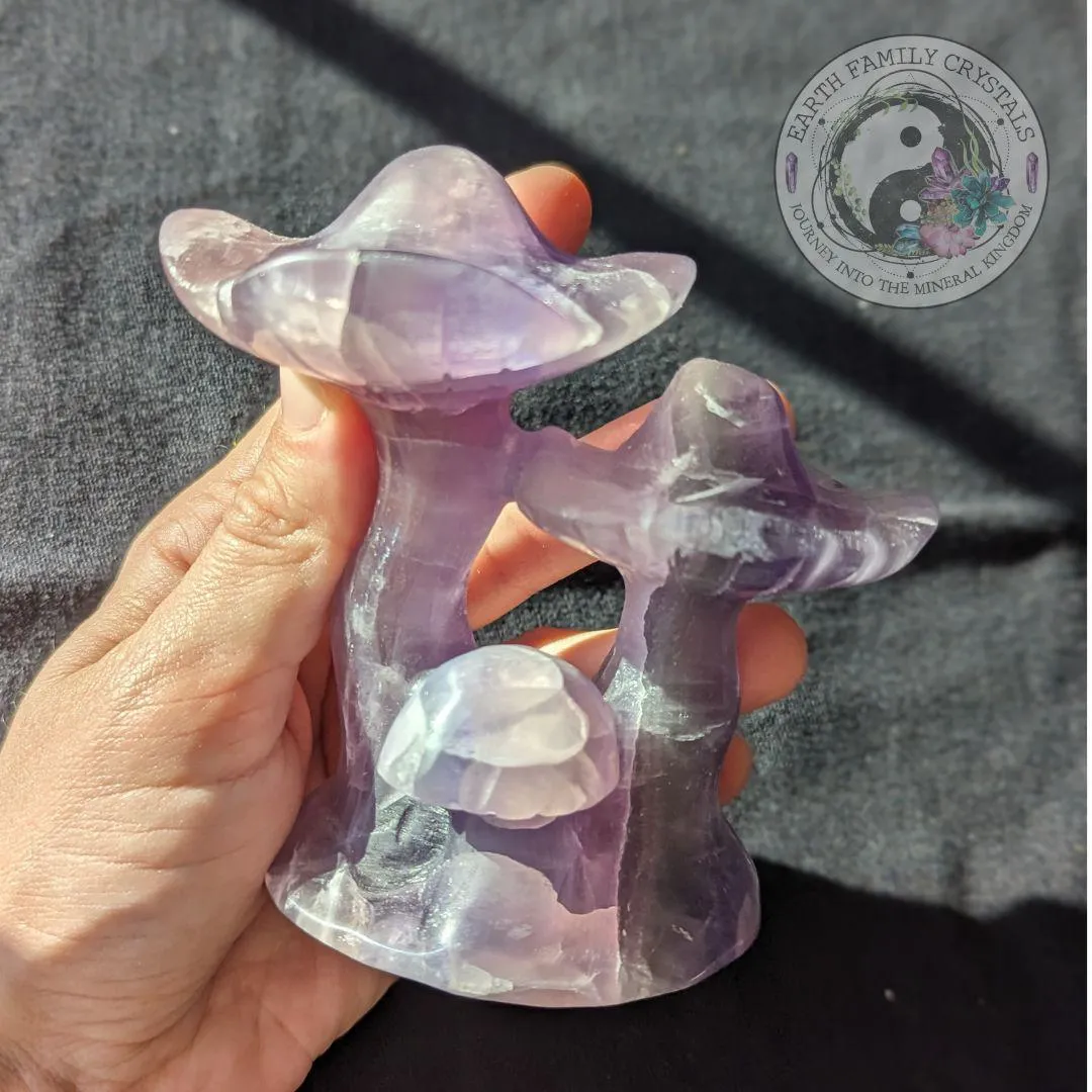 Rainbow Fluorite Mushroom Carving | Crystal Carving | Magical and Whimsical