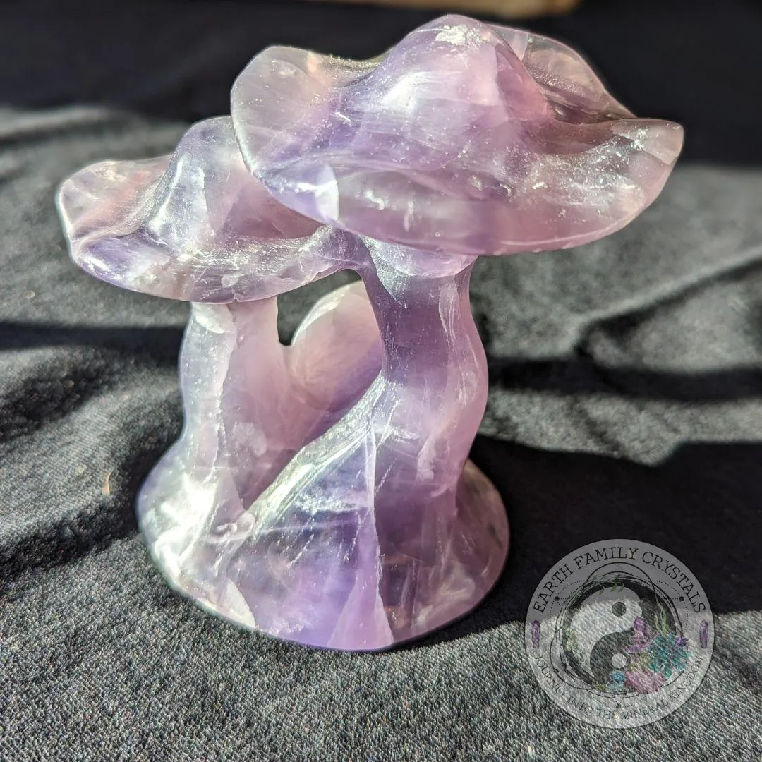 Rainbow Fluorite Mushroom Carving | Crystal Carving | Magical and Whimsical