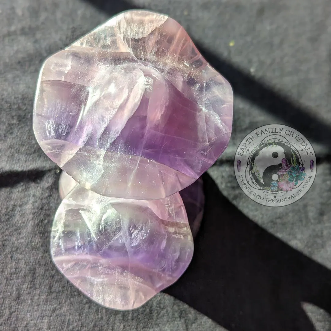 Rainbow Fluorite Mushroom Carving | Crystal Carving | Magical and Whimsical