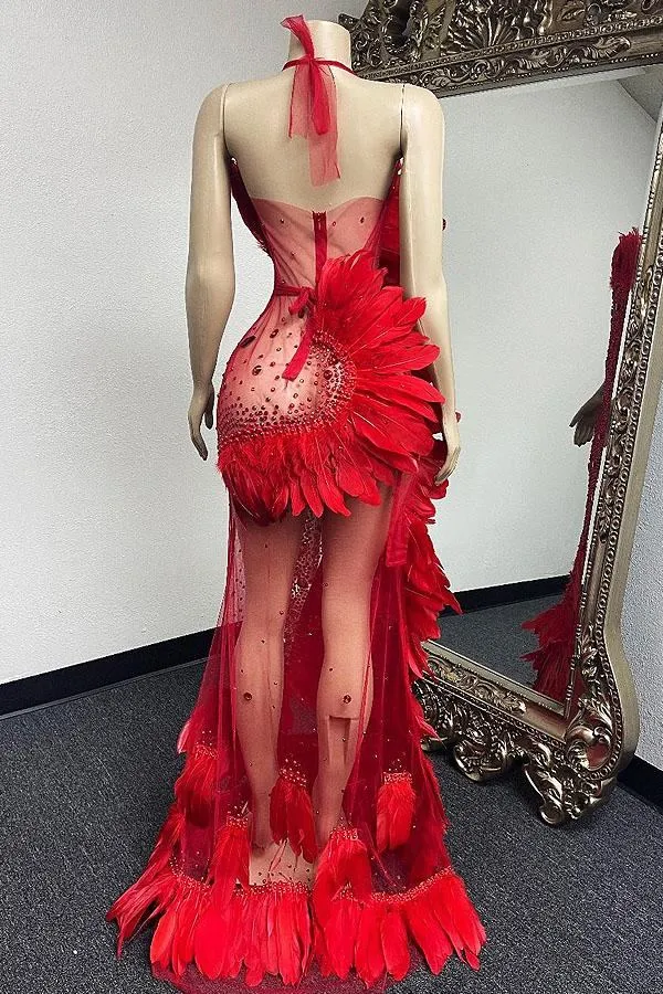 Red Diamante Feather Dress